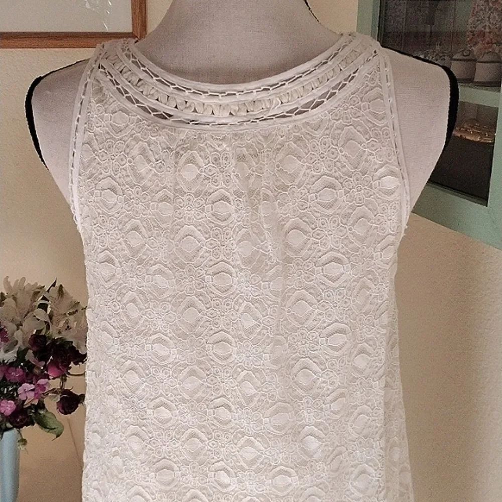 NWT Max Studio Lace Shift Dress - Picture 8 of 13